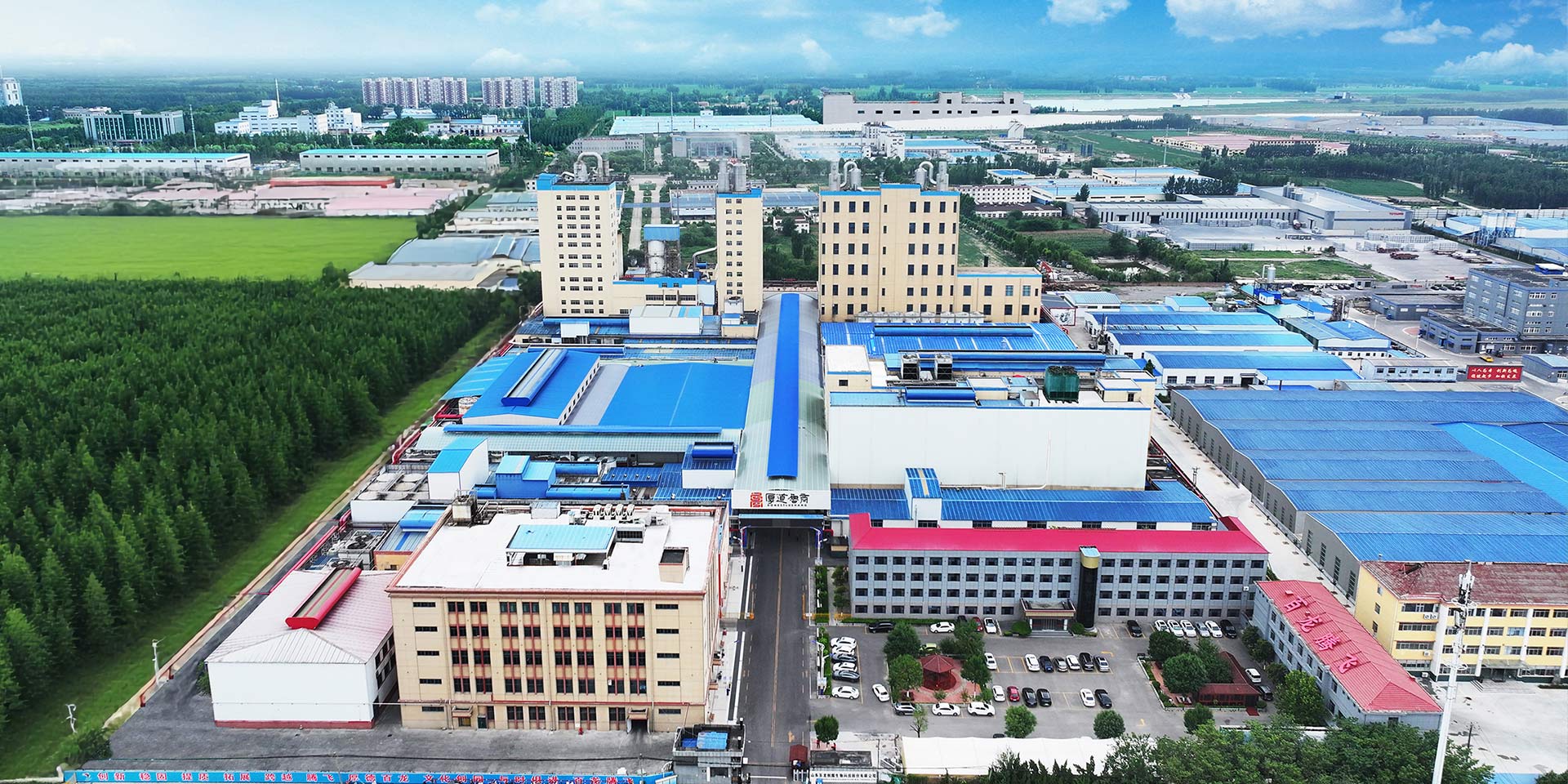 低聚木糖粉厂家